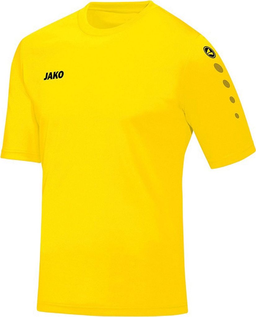 Trikot Team KA JAKO Produktbild 