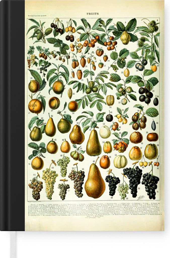 MuchoWow Notizbuch Tagebuch Haushaltsbuch Notebook A5 Adolphe Millot - Jahrgang - Obst - Birne - Trauben - Notizblock - Notizheft - Notebook - Sc...