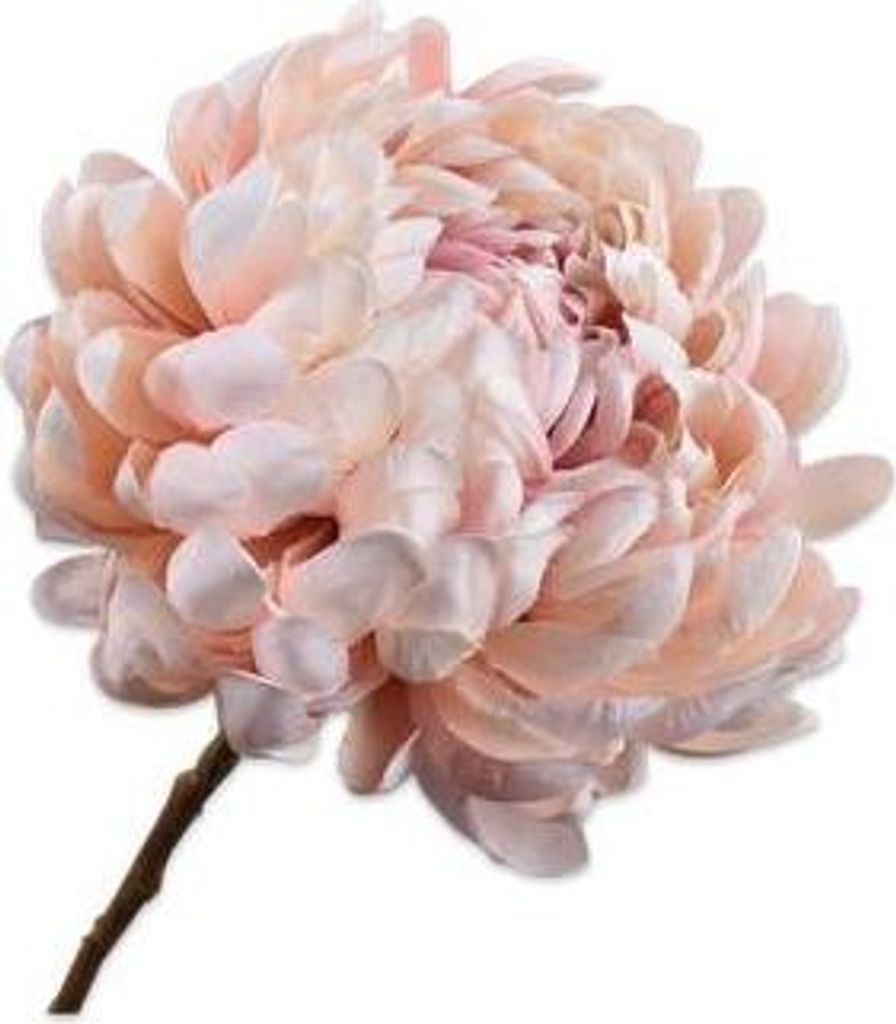 Silk-ka Kunstblume Chrysanthemenzweig Rosa 64 cm Produktbild 