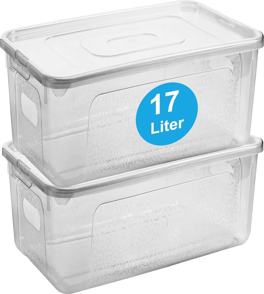 Stapelbare Aufbewahrungsbox mit Deckel, 2er Set, transparent, 17L, vielseitig nutzbar