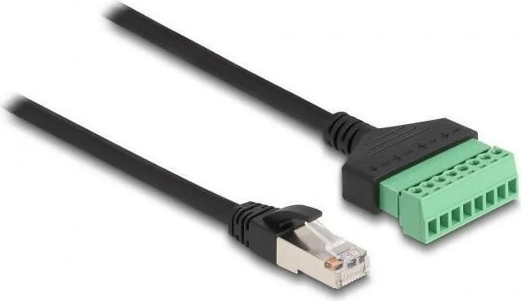 Delock 65975 Cavo Adattatore RJ45 a Terminal Block Cat.6 30cm - 2