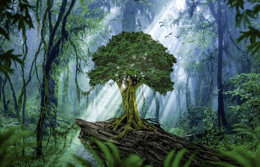 Keilrahmenbild großer Baum 140 x 90 cm