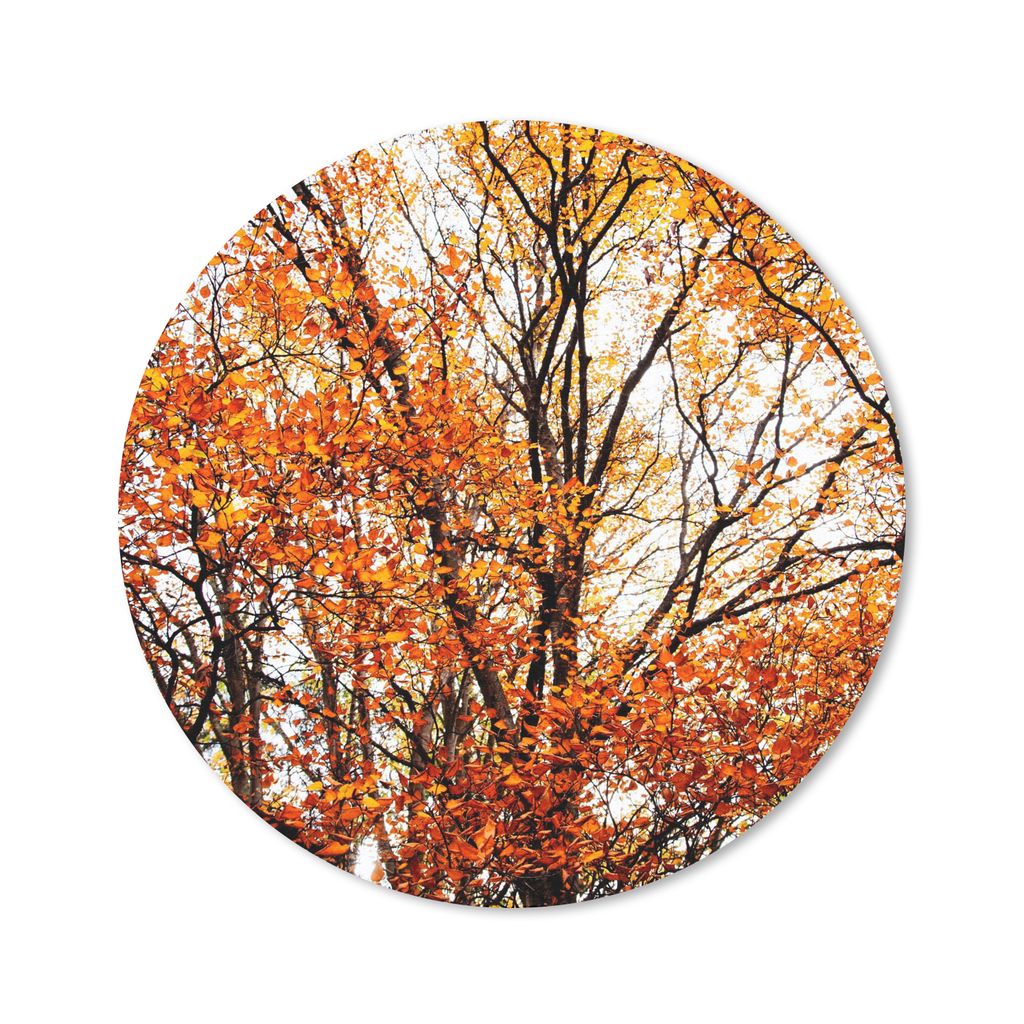 MuchoWow Mauspad Mousepad Wald - Herbst - Jahreszeiten 20x20 cm - Mousepads - Maus Mat - Pad - Mausunterlage - Schreibtischmatte