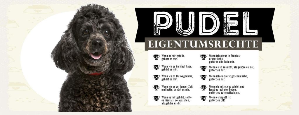 vianmo Blechschild 10x27 cm Hund Pudel Eigentumsrechte