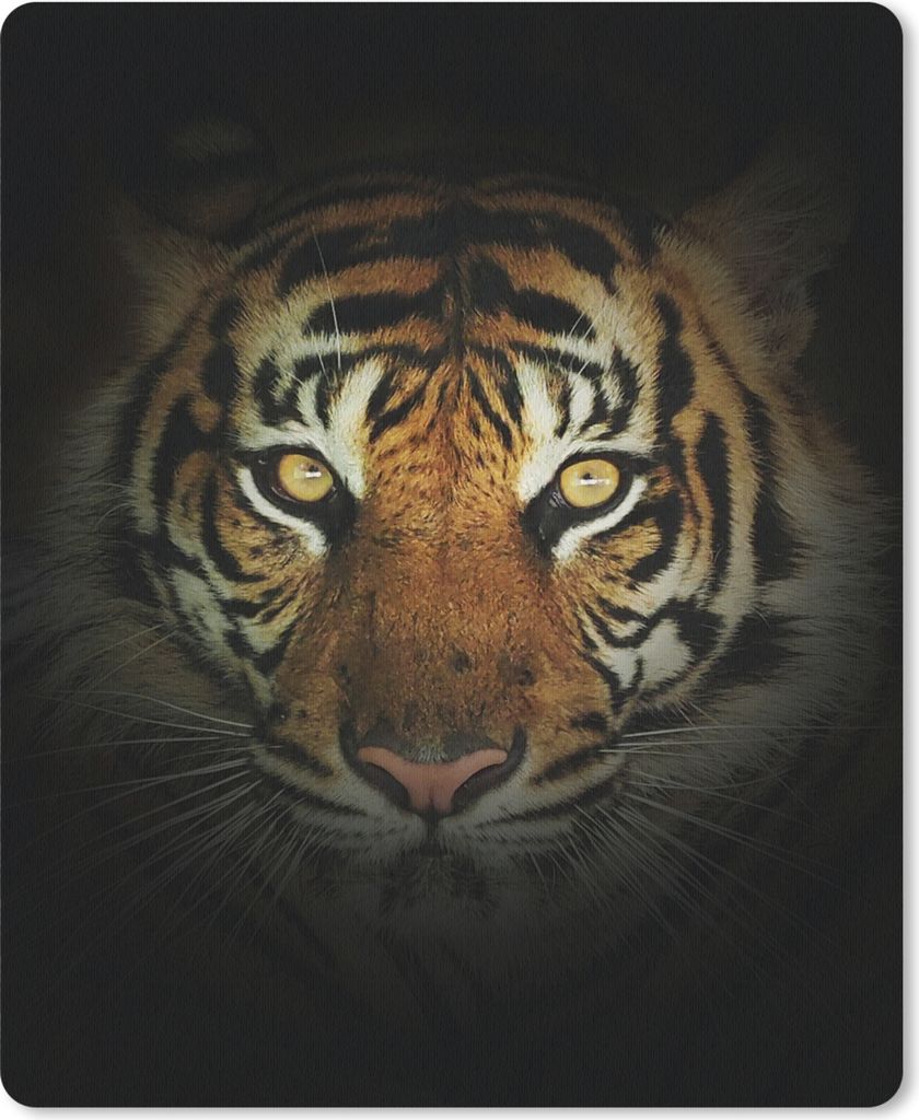 MuchoWow Mauspad Mousepad Tiger - Licht - Augen 19x23 cm - Mousepads - Maus Mat - Pad - Mausunterlage - Mauspads - Spielen