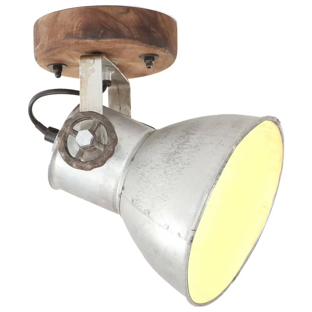 Luminaire de Plafond pour Salon et Couloir Style Loft Argenté 20x25