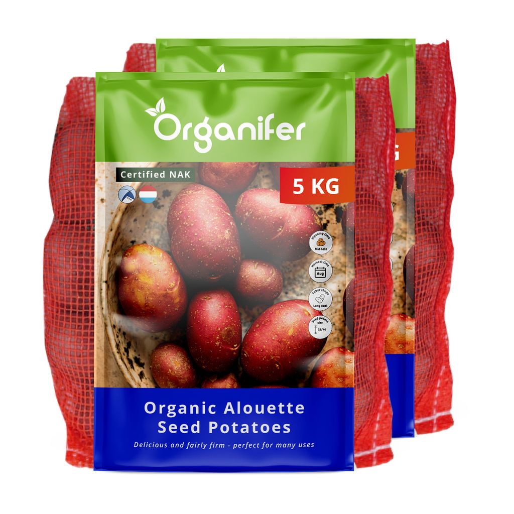 -Saatkartoffeln Alouette A 28/35 (10 kg) - Organifer