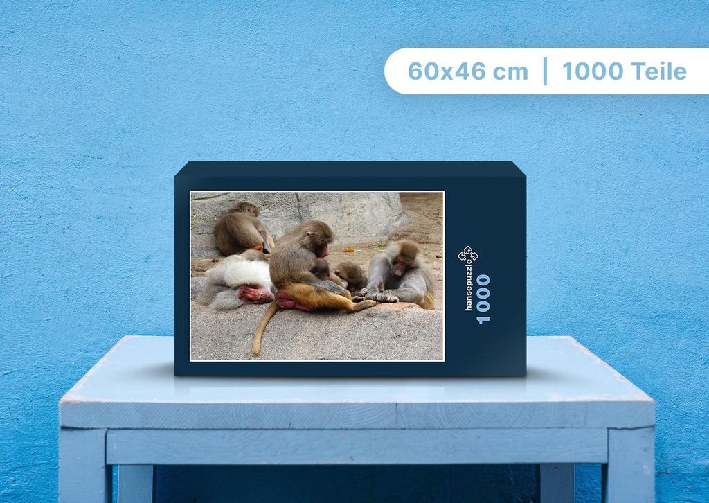 hansepuzzle 108661 - Affen Puzzle, 1000 Teile, Tierwelt, 60,0 x 46,0cm mit hochwertiger Aufbewahrung, Kartonbox und wiederverschließbarem Beutel