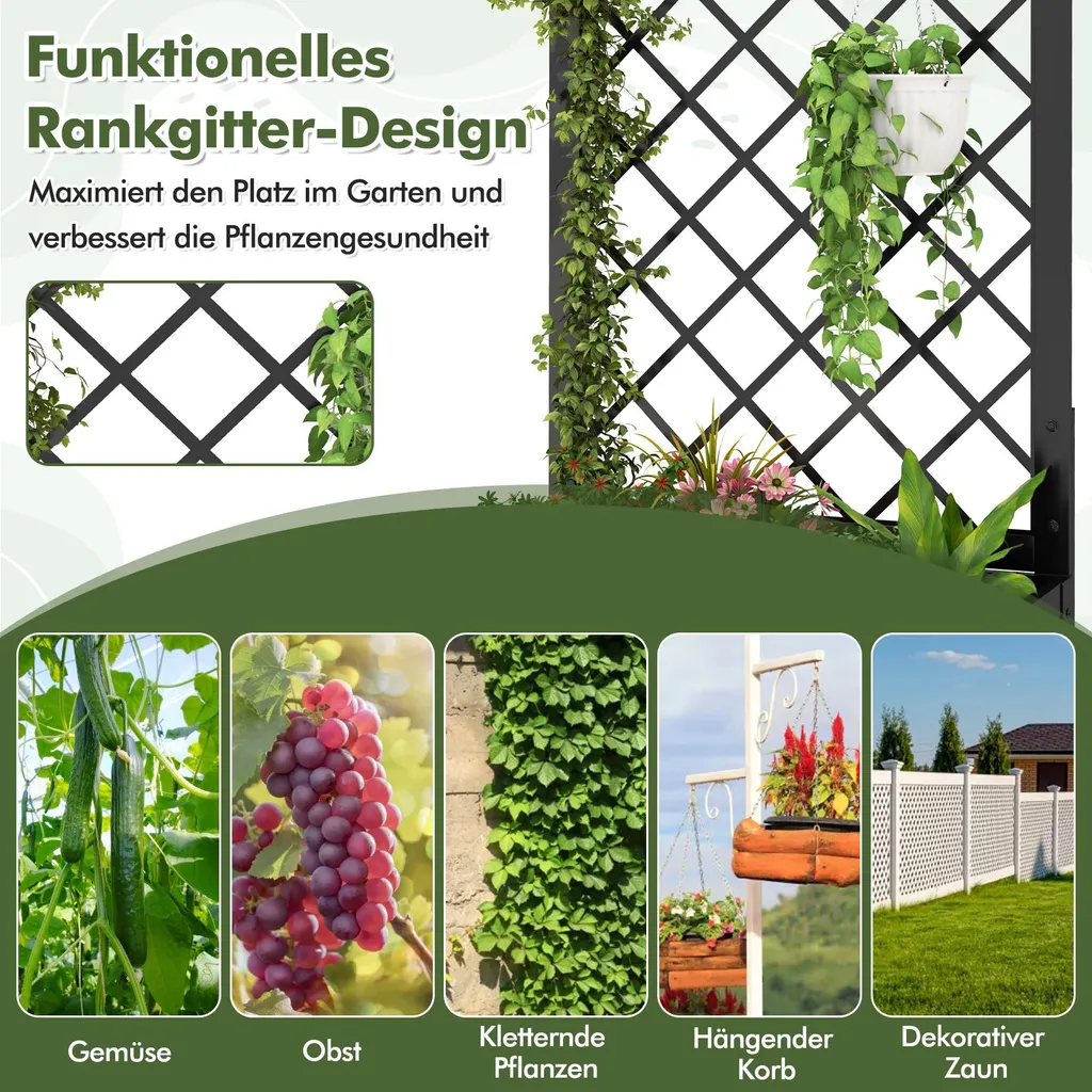 Jardinière avec treillis pour plantes grimpantes : solution brise-vue - 4