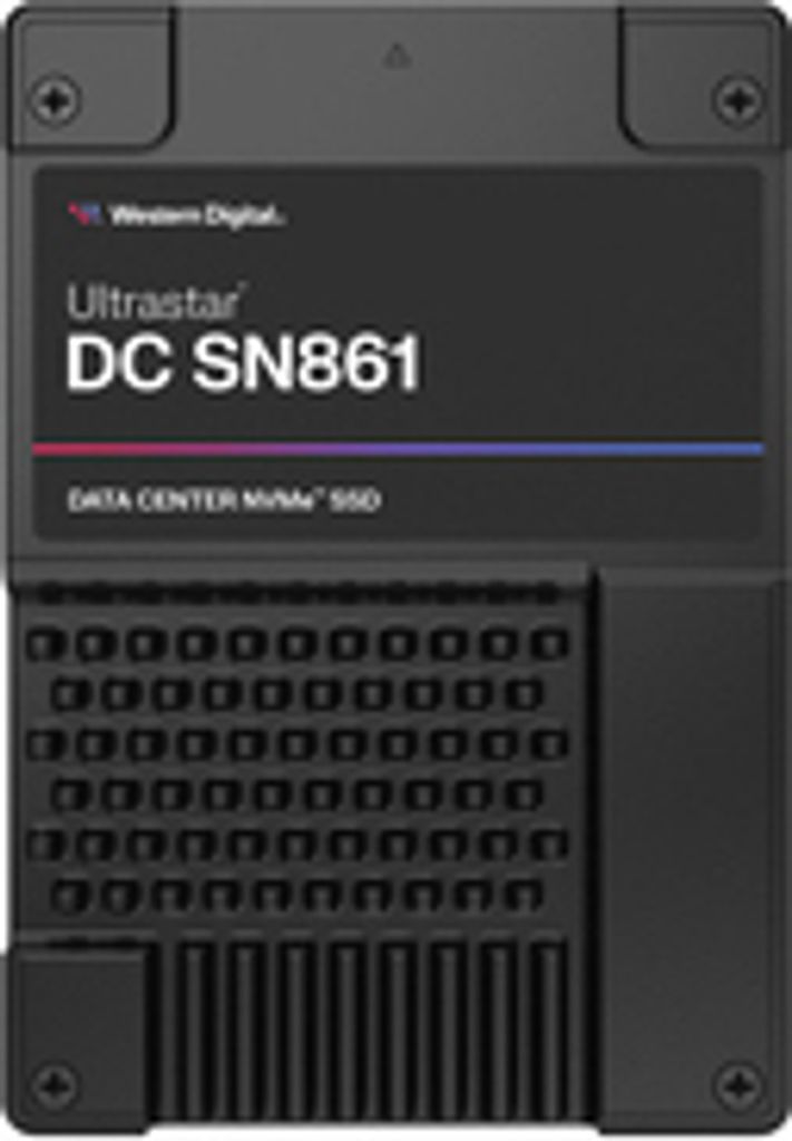 WD Ultrastar DC SN861 WUS6BA138PSP9X3 - SSD - Datencenter - 3.84 TB - intern - 2.5" (6.4 cm) - U.2 PCIe 5.0 x4 (NVMe)