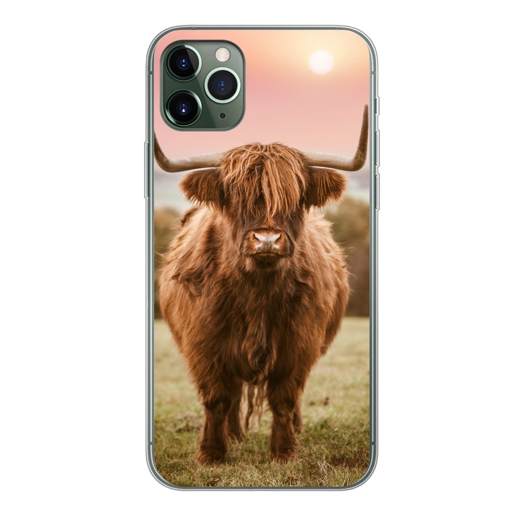 MuchoWow Handyhülle Schutzhülle Hülle für iPhone 11 Pro Max Schottischer Highlander - Sonne - Himmel Silikon Softcase Handy Hülle - Schutz