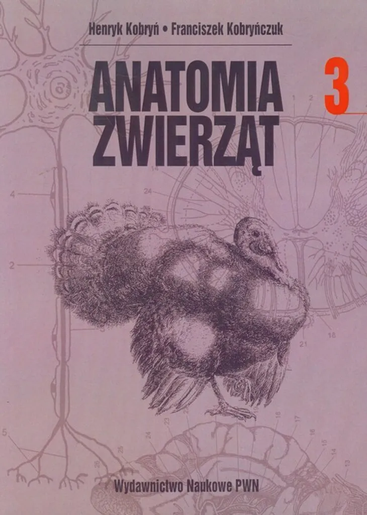 Anatomie animale Vol 3 Kobryń - Schémas détaillés et textes techniques