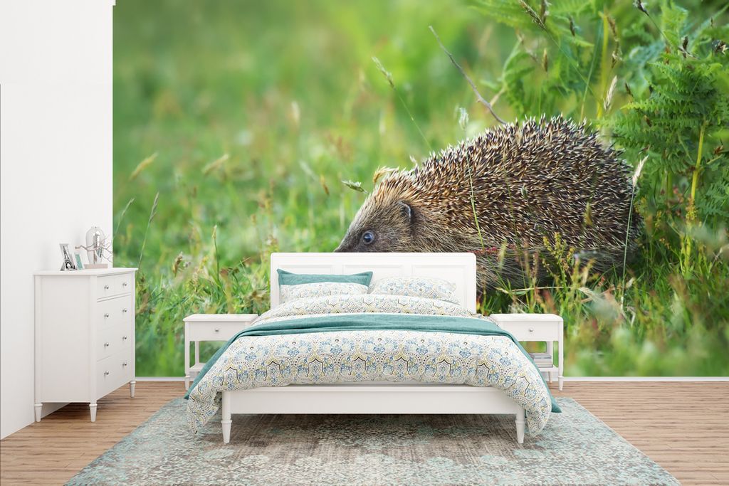 MuchoWow Fototapete für Wohnzimmer oder Schlafzimmer Wandtapete Vinyl Motivtapete Igel steht im Gras - 400x240 cm - Gemustert