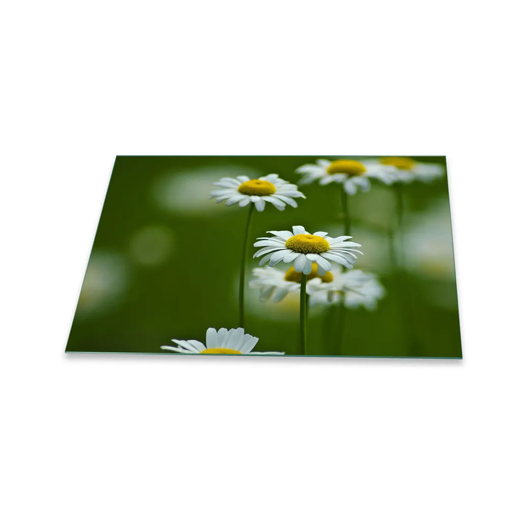 Piastra Copertura Per Piano Cottura In Vetroceramica 80x52 Cm – 5 In 1: Protezione, Tagliere, Paraspruzzi, Piatto E Sottopentola, Bianco - copertina