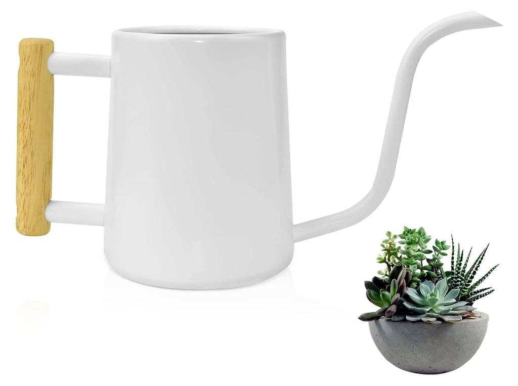 1L Gießkanne aus Edelstahl für Zimmerpflanzen und Sukkulenten, klein, weiß, 34Oz