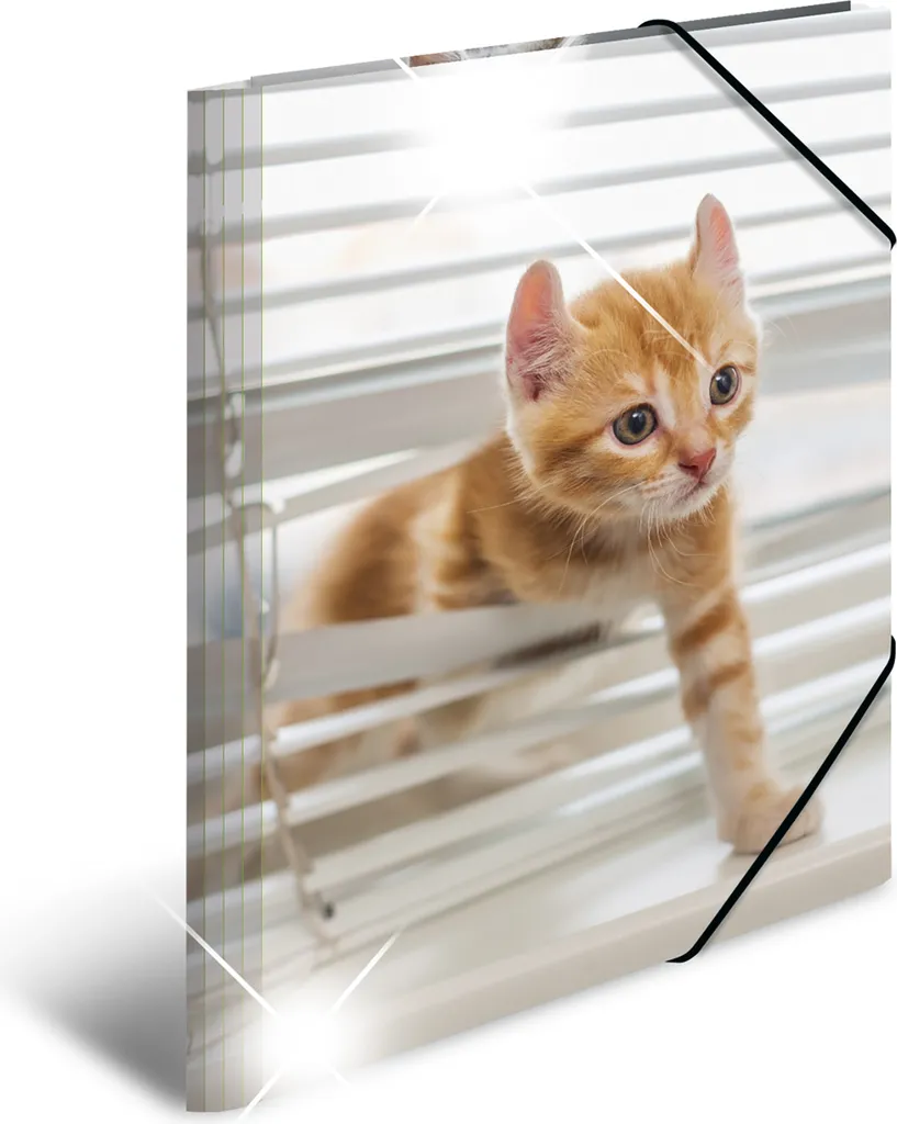 Gummizugmappe A3 PP Glossy Katzen