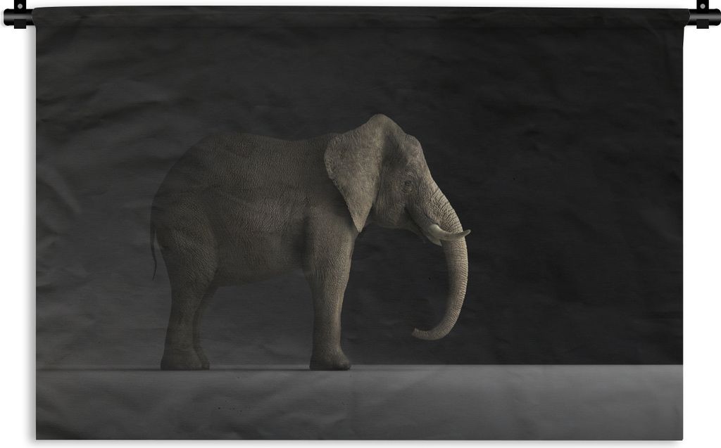 MuchoWow Wandteppich Wandbehang Elefant - Tiere - Licht 60x40 cm Tapisserie Dekoration Wandtuch - Wanddekorationen