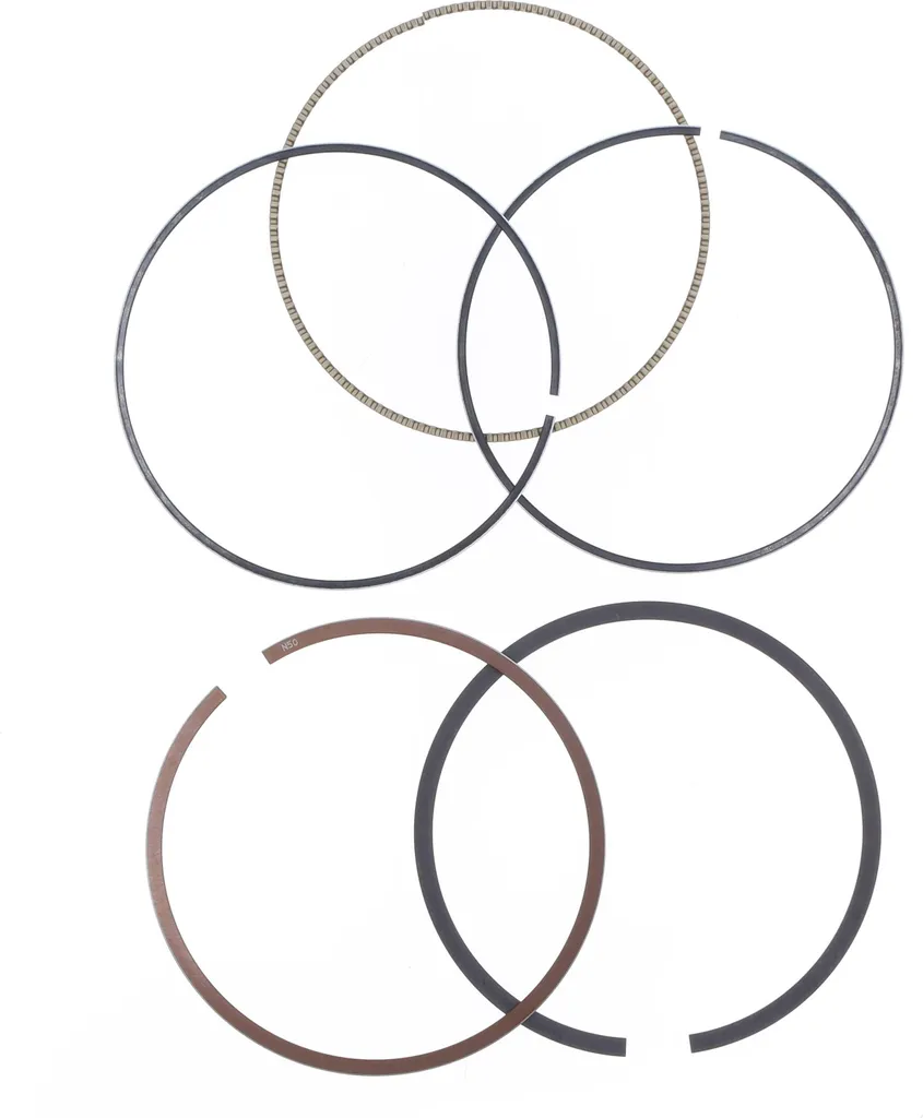 Segments de remplacement Athena pour Suzuki LT-R 450 Quadracer 06-10