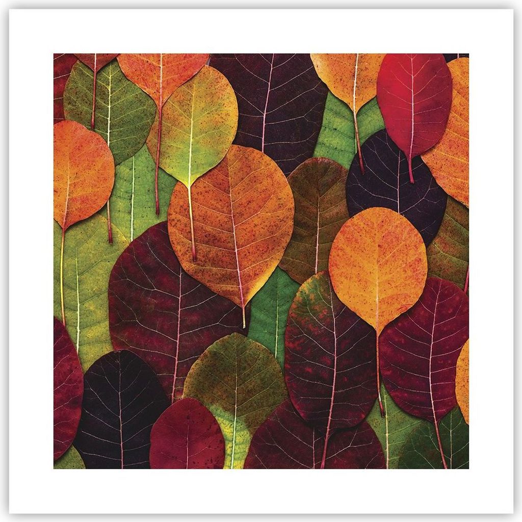 Poster - Poster ohne Rahmen - Herbst Blätter Grafiken - 40x40 cm - Wand Bild - Wanddeko - Wandbilder - Kunstposter - Wandposter - Bilder - Kunstdr...