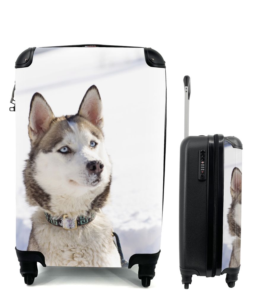 MuchoWow Koffer Handgepäck Trolley Rollkoffer Kleine Reisekoffer mit 4 Rollen - Sibirischer Schlittenhund im Schnee - Cabin Size < 55x40x23 cm &...