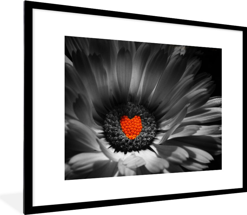 MuchoWow Gerahmtes Poster Schwarz-Weiß-Foto einer Ringelblume mit einem roten Herz 80x60 cm - Poster mit Schwarzem Bilderrahmen Wandposter Rahme...