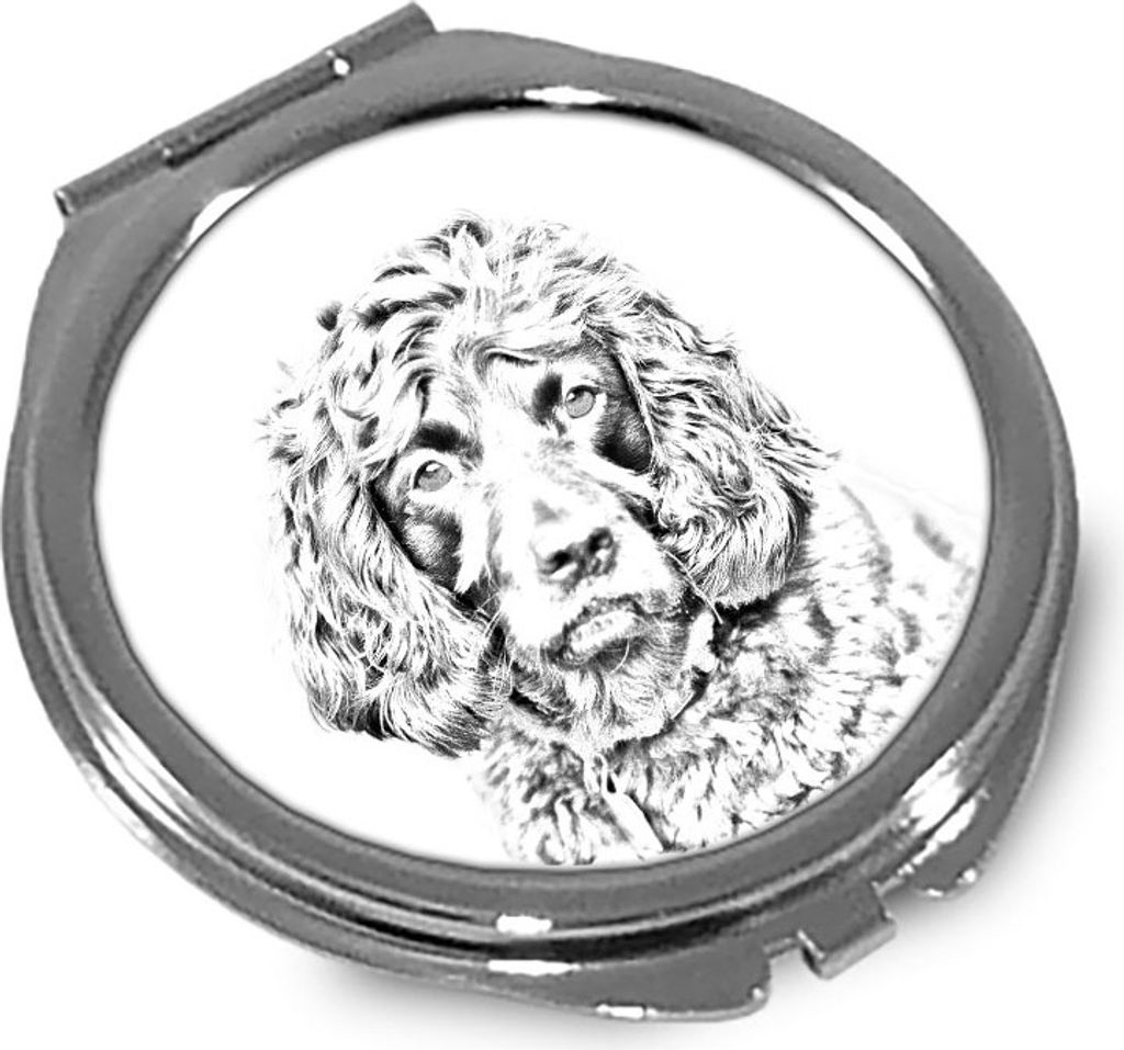 Boykin Spaniel - Taschenspiegel mit Hund, personalisierter Taschenspiegel, kompakter Spiegel mit Art-Dog-Logo