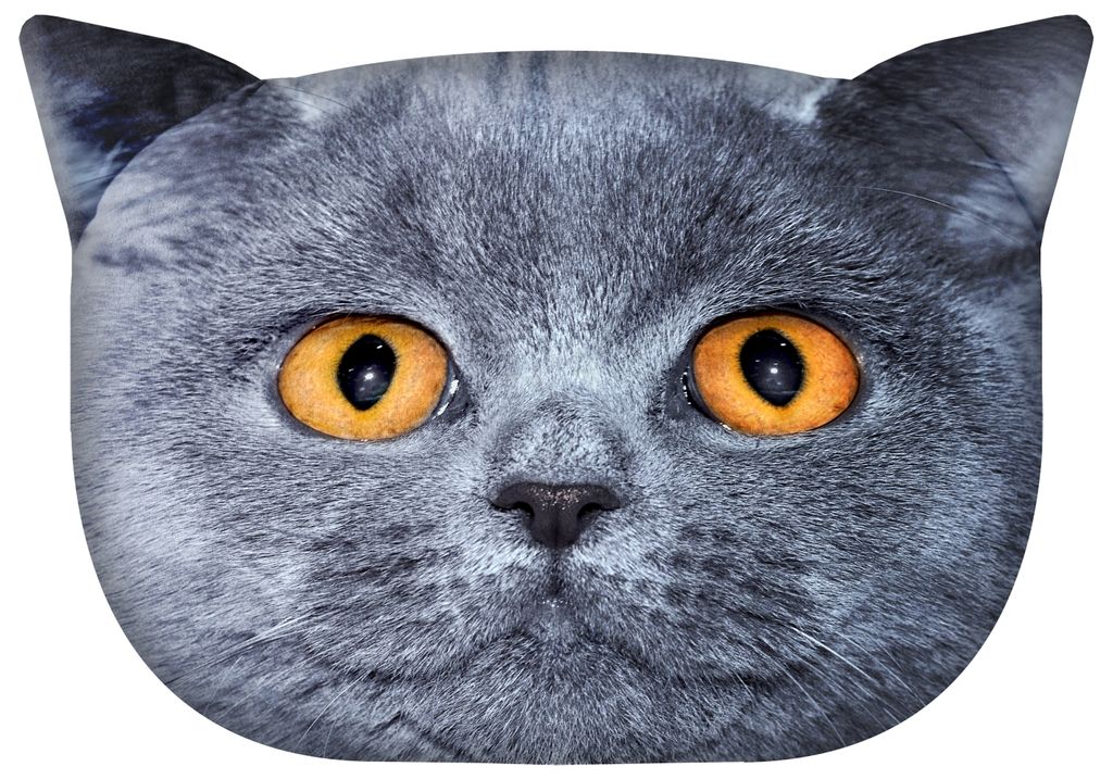 Dekokissen „Katze Leon” Bertoni 30×45 cm – Samt, Katzenkopf-Druck, antiallergische Füllung, Reißverschluss