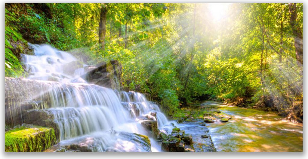 Glasbilder 140x70 Wandbild Druck auf Glas Wasserfall Wald Natur