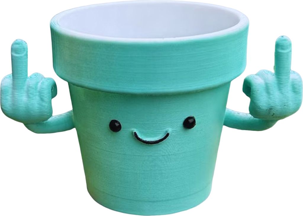 Lächelnder Blumentopf mit nach oben zeigenden Mittelfingern, Sukkulenten-Töpfe aus Kunststoff mit Smiley-Gesicht für Zimmerpflanzen, originelle ...