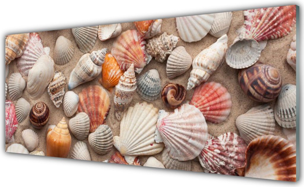 Acrylglasbilder 125x50 Wandbild Druck Muscheln Kunst