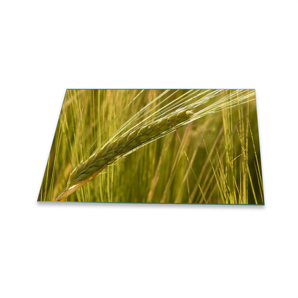 Herdabdeckplatte Glaskeramik 1 Teilig 80x52 Natur Grün Abdeckung Glas Spritzschutz