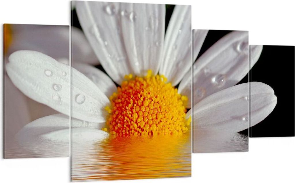 Bild auf Leinwand - Leinwandbild - Kraut Kamille Blume Wasser - 160x90cm - Wand Bild - Wanddeko - Leinwanddruck - Bilder - Kunstdruck - Wanddekorat...