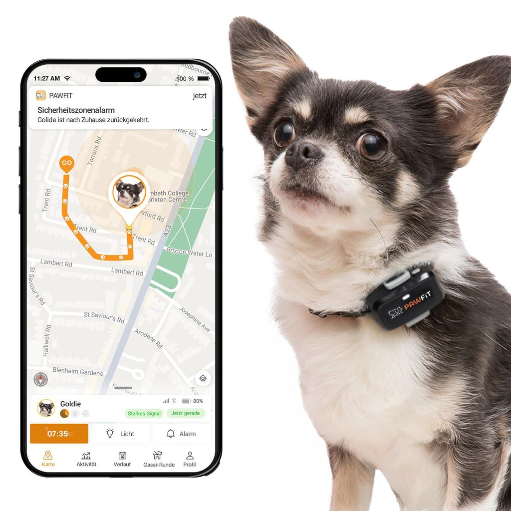 Pawfit Lite GPS-Tracker für kleine Hunde, 4 g, Echtzeit-Tracking, Aktivitätsüberwachung, Standortverlauf, unbegrenzte Reichweite, Onyx-Schwarz
