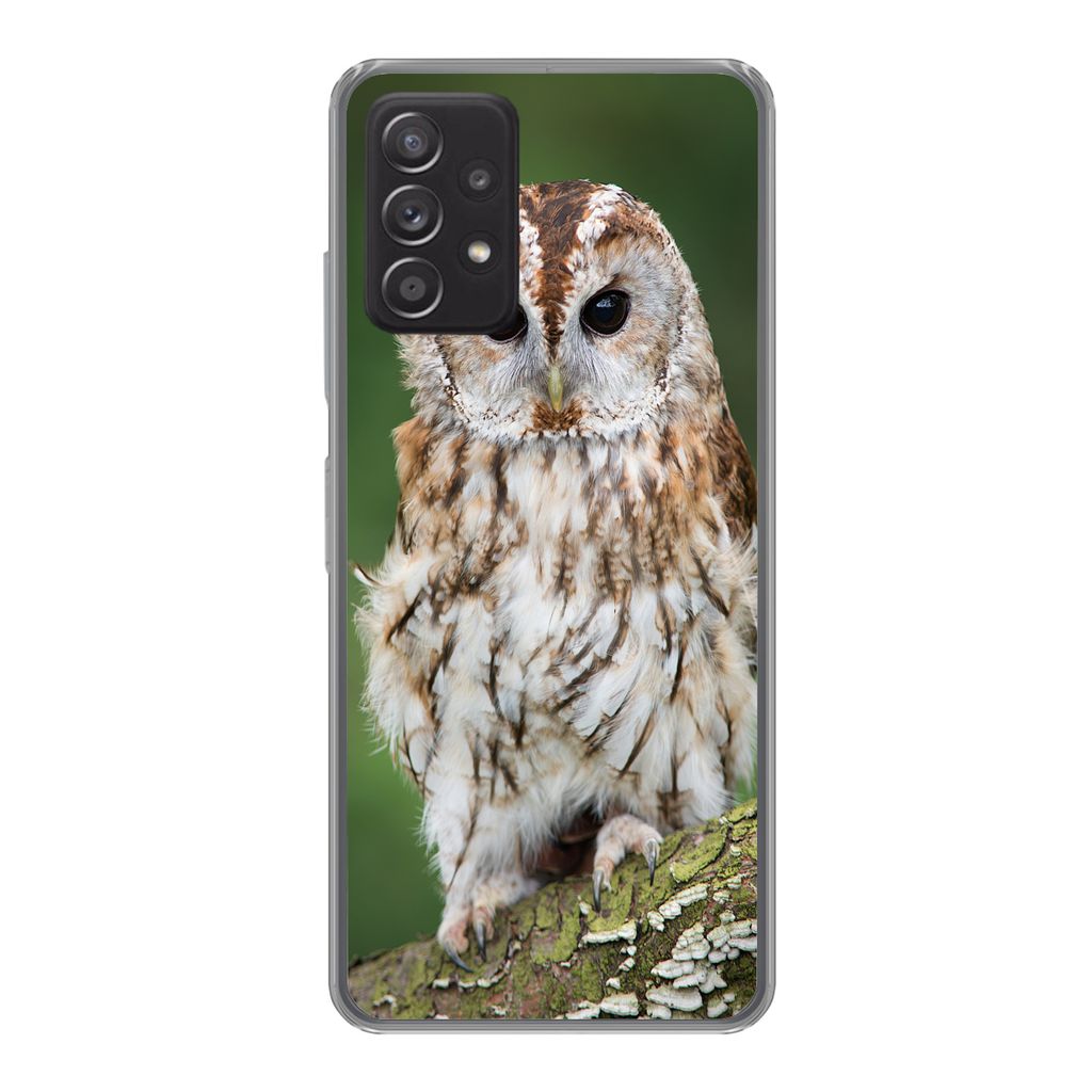 MuchoWow Handyhülle Schutzhülle Hülle für Samsung Galaxy A33 5G Braune Eule sitzt auf einem Baum Silikon Softcase Handy Hülle - Kartenhalter