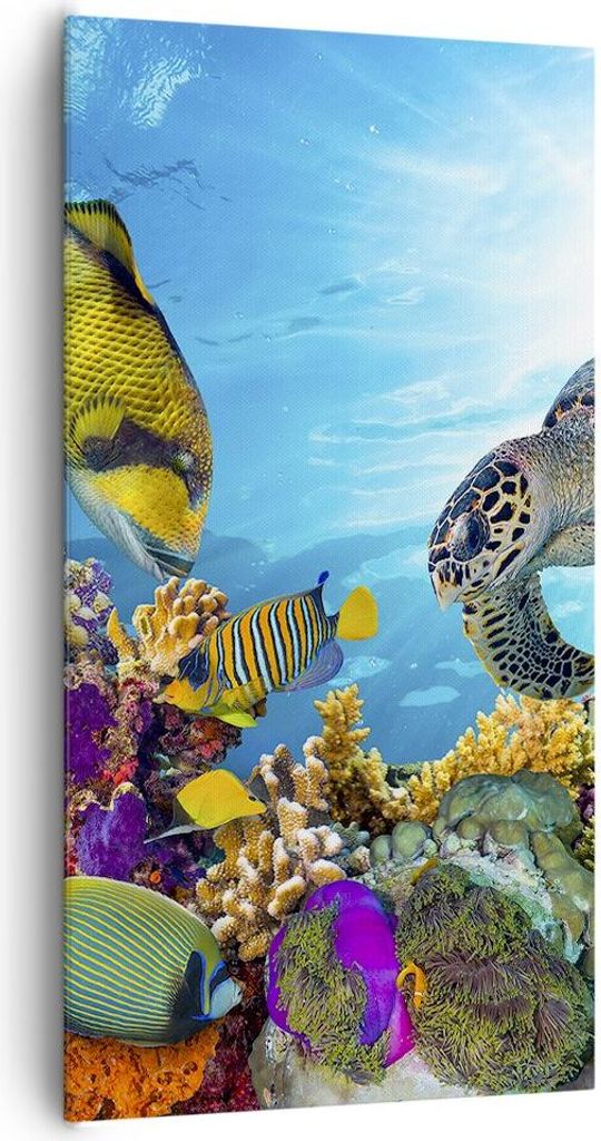 Bild auf Leinwand - Leinwandbild - Riff Koralle Fisch - 65x120cm - Wand Bild - Wanddeko - Leinwanddruck - Bilder - Kunstdruck - Wanddekoration - Le...