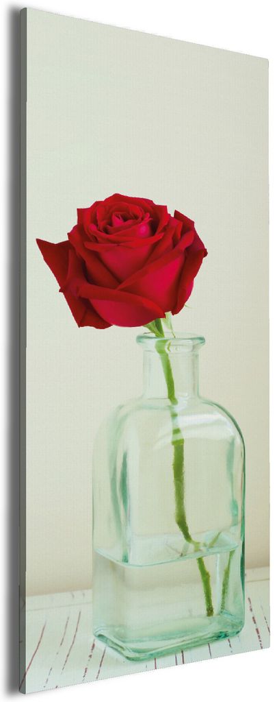 Wallario Premium Leinwandbild Rote Rose in Glasvase in Größe 50 x 125 cm