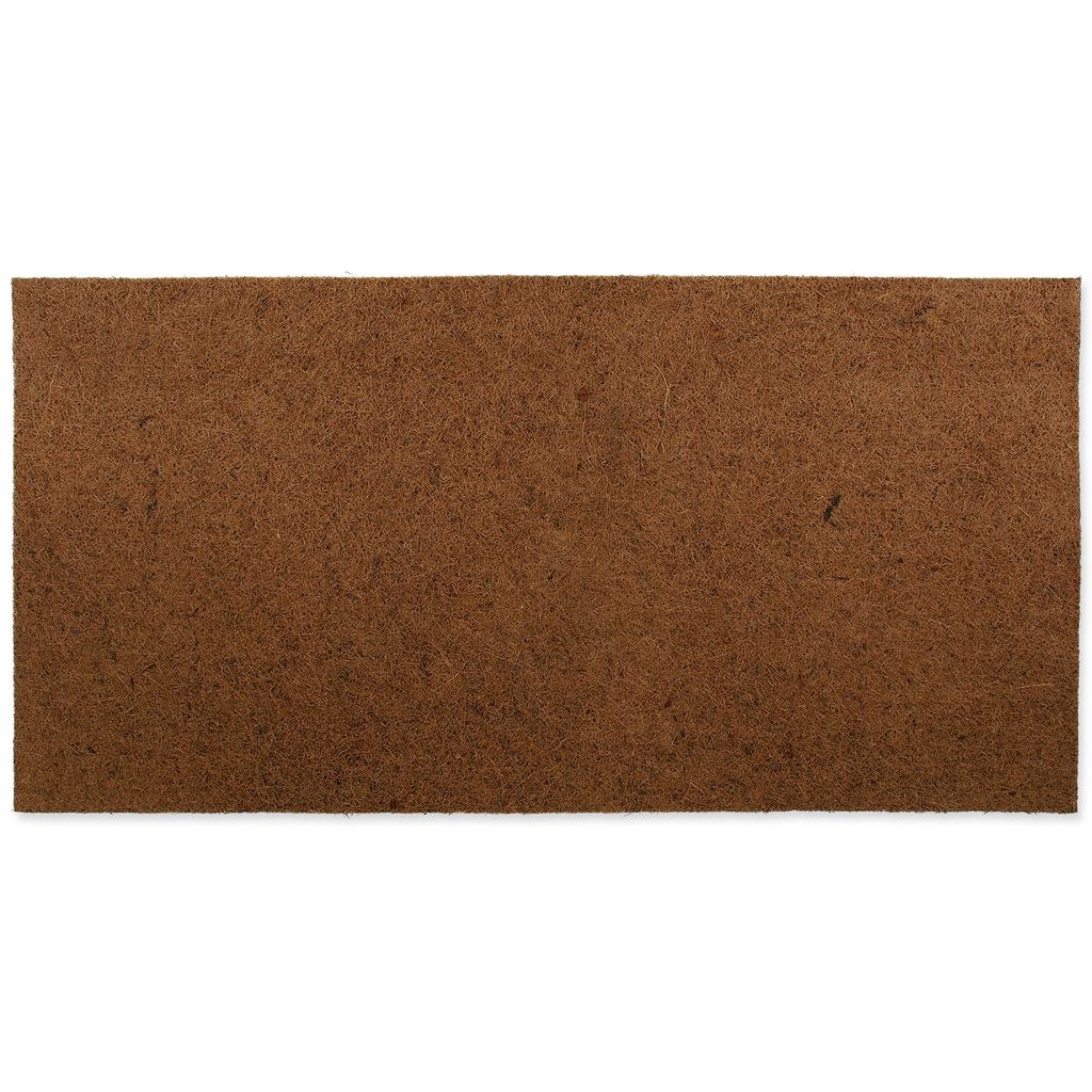 Achtergrondplaat Repti Planet Coco, 100x50 cm Productafbeelding 