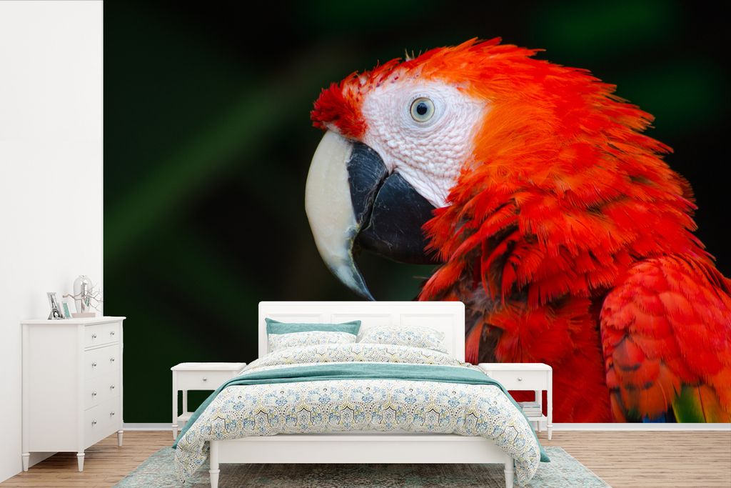 MuchoWow Fototapete für Wohnzimmer oder Schlafzimmer Wandtapete Vinyl Motivtapete Tiere - Vogel - Papagei - 450x300 cm - Gemusterte