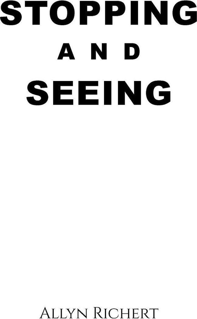Stopping and Seeing