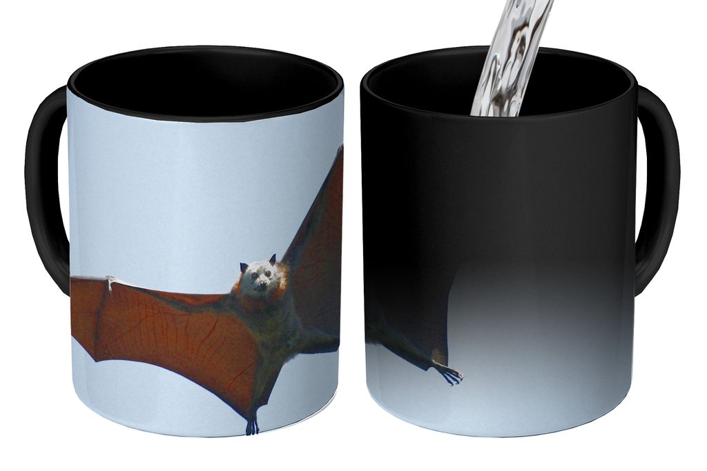 KitchenYeah Zauber Tasse Zaubertasse Magic Fledermaus - Luft - Flügel 350 ml Farbwechsel Becher Geschenk Geschenkidee - Magic-Tasse - Fototasse ...