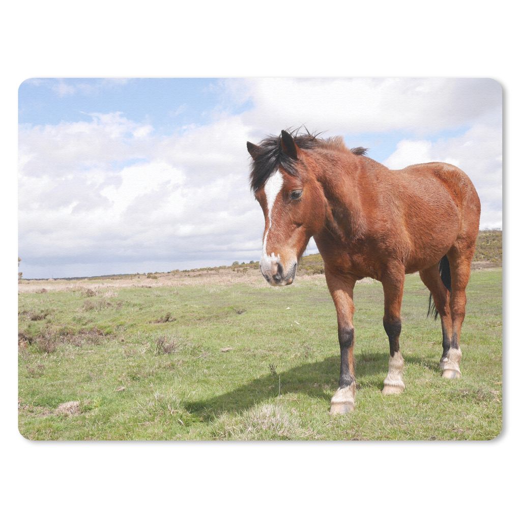 MuchoWow Mauspad Mousepad Pferd - Licht - Schatten 40x30 cm - Mousepads - Maus Mat - Pad - Mausunterlage - Anti Rutsch