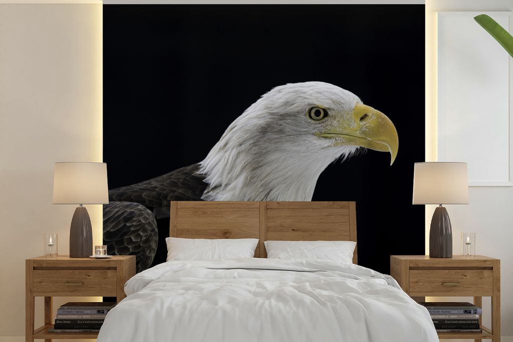 MuchoWow Fototapete für Wohnzimmer oder Schlafzimmer Wandtapete Vinyl Motivtapete Adler - Vogel - Schnabel - Schwarz - 350x350 cm - Schlafzimmer...