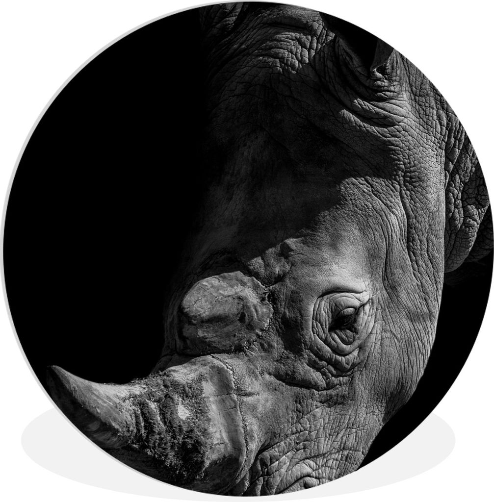 MuchoWow Rundes Wandbild - Runde Bilder Nahaufnahme eines Nashorns auf schwarzem Hintergrund Ø 60 cm Kreis Wanddekoration Kunststoff - Wandkreis...