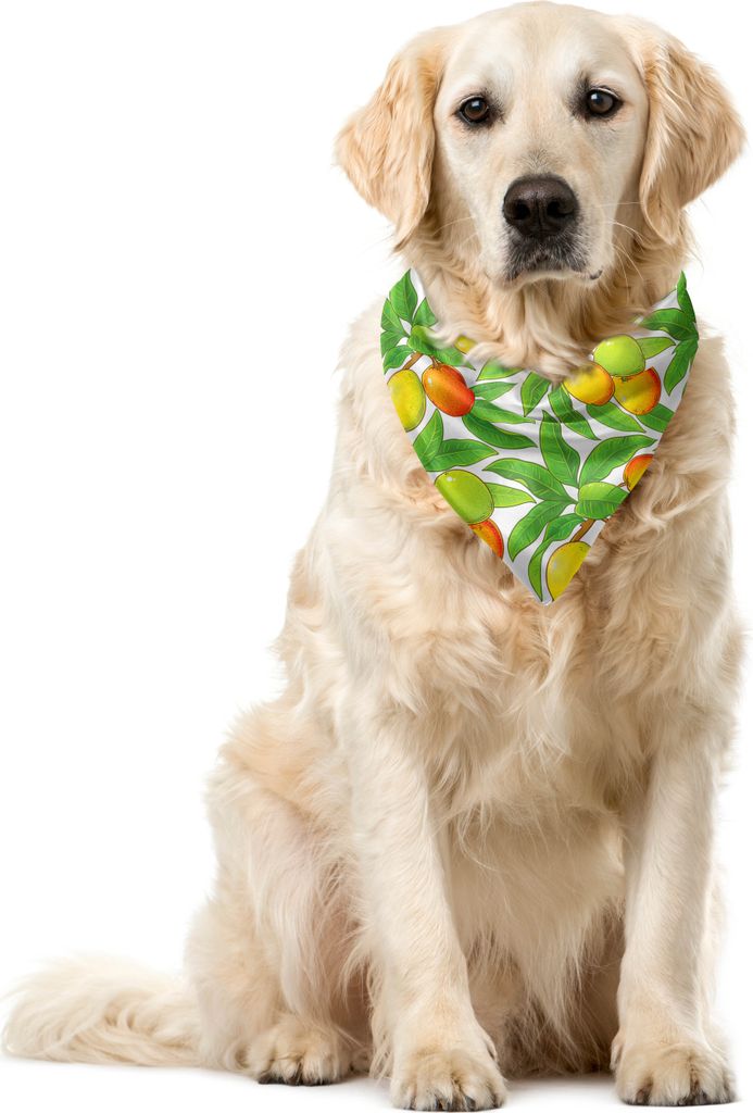 ABAKUHAUS Obst Haustier Bandana, Reife Mango Branchen, 40x40 cm, grüne Vermilion