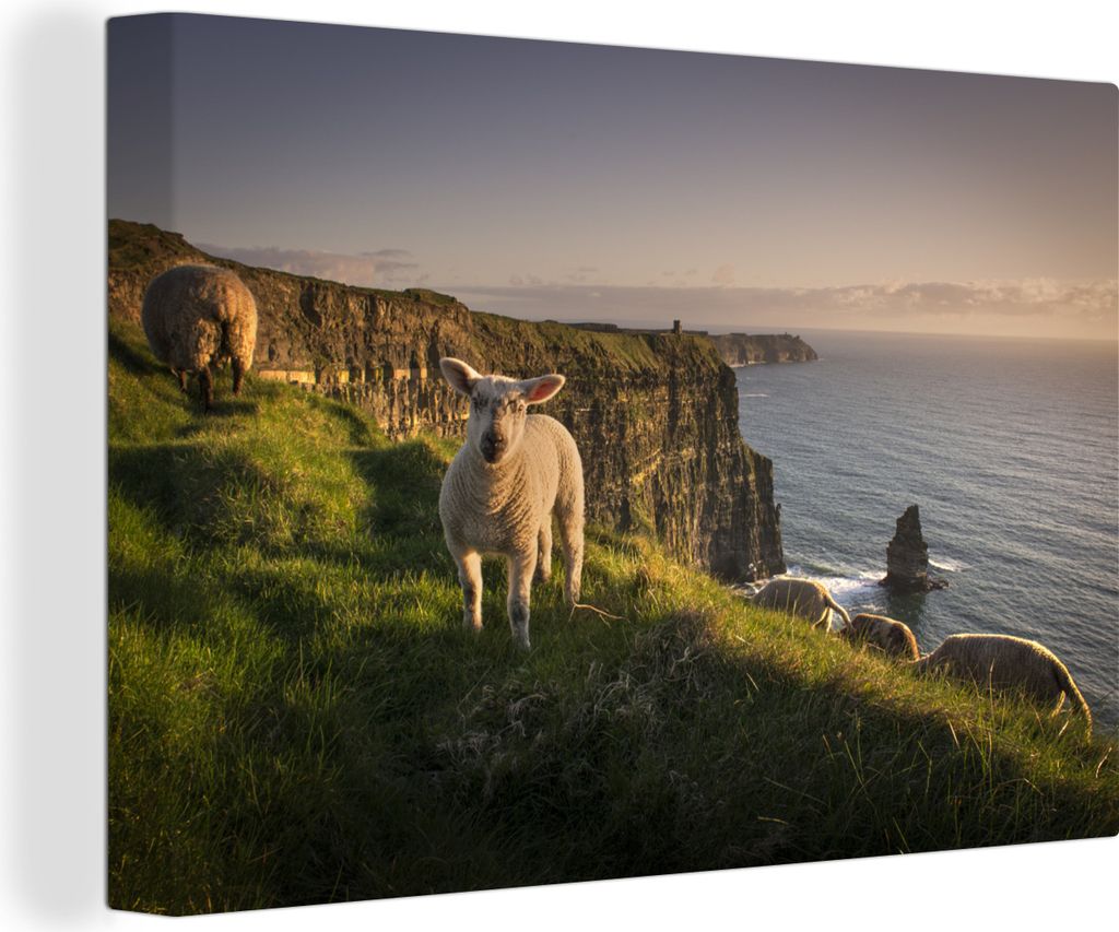 OneMillionCanvasses - Leinwandbilder - 140x90 cm, Schafe - Natur - Irland, Wandbilder Kunstdruck Wanddekoration