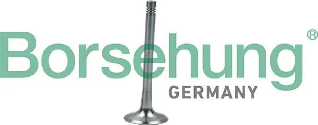 Valvola Scarico Borsehung B19008 per Golf, Audi, Seat - 06D109611L
