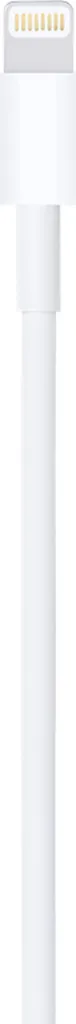 Cavo Apple Lightning USB 1m MXLY2ZM/A - Accessorio Originale iPhone - 4