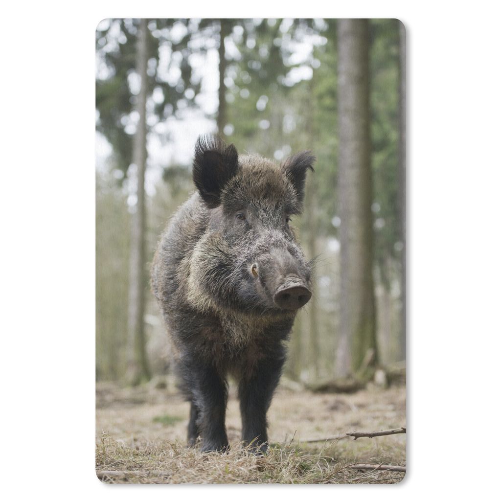 MuchoWow Mauspad Mousepad Wildschwein - Tier - Wald 40x60 cm - Mousepads - Maus Mat - Pad - Mausunterlage - Schreibtisch Accesoire