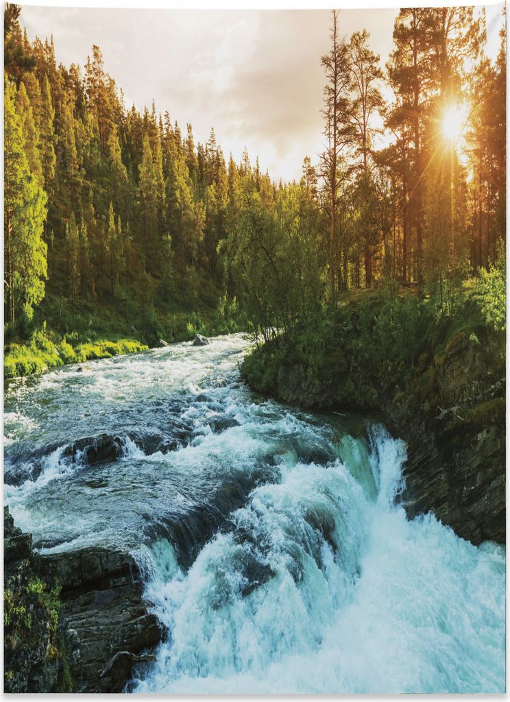 Abakuhaus Fluss Wandteppich, Sonnenaufgang Frühling Kiefern aus Weiches Mikrofaser Stoff Kein Verblassen Klare Farben Waschbar, 110 x 150 cm, Apfe...