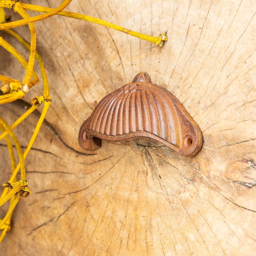 Apothekergriff, Muschelgriffe, Schalengriffe, Möbelgriff aus Gusseisen